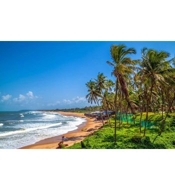 Тур из Ташкента на ГОА!